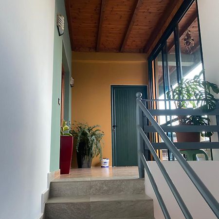 Vila Ajdinaj 培拉特 外观 照片